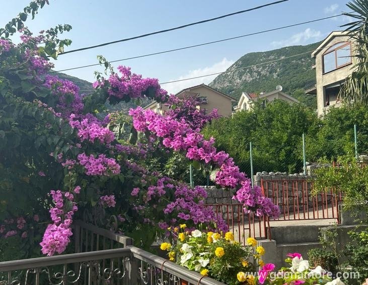 3.Ulaz Bogumila